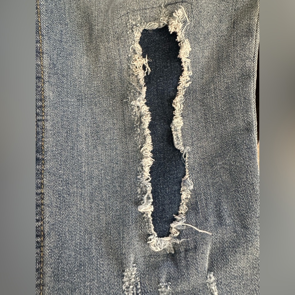 Democracy Blue Distressed Jeans with Feather Embroidery - Picture 10 of 10